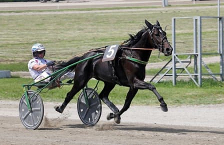 Dimitri Ferm